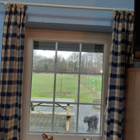 Muensterland Lengerich