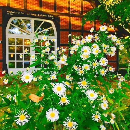 Casa de hóspedes Muensterland