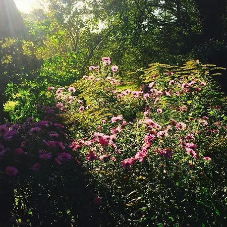 Pensjonat Muensterland