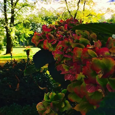 Muensterland Casa de hóspedes Lengerich