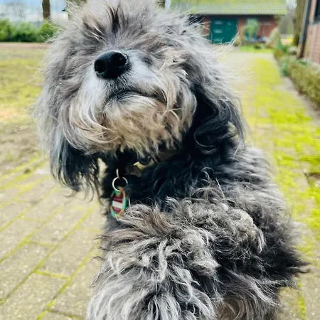 Muensterland Casa de hóspedes