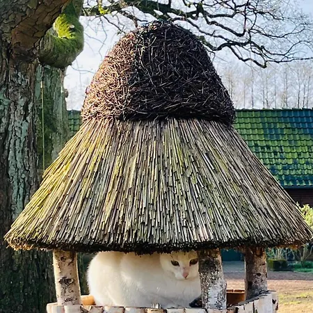 Casa de hóspedes Muensterland Lengerich