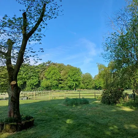Pensjonat Muensterland Lengerich