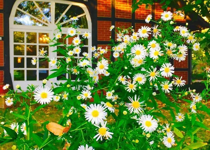 Maison d'hôtes Munsterland