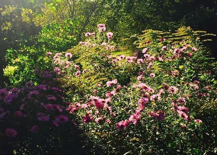 Maison d'hôtes Munsterland