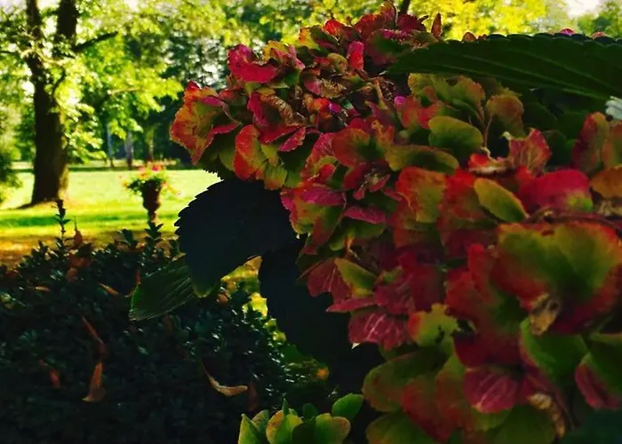 Munsterland Maison d'hôtes Lengerich