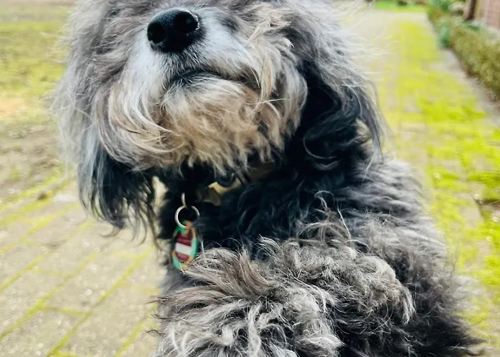 Munsterland Maison d'hôtes