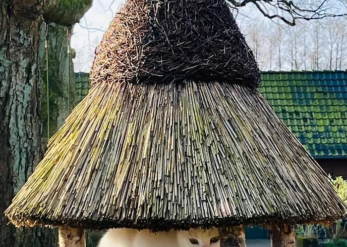 Maison d'hôtes Munsterland Lengerich